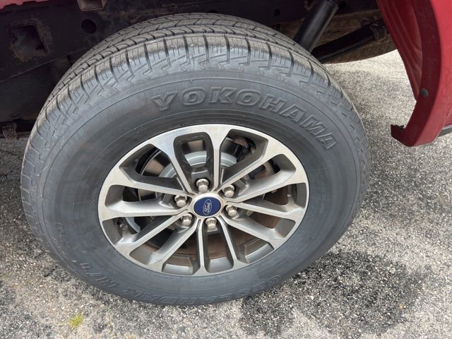 Used 2019 Ford F150 XLT w/ Equipment Group 302A Luxury AWD/4WD image 21