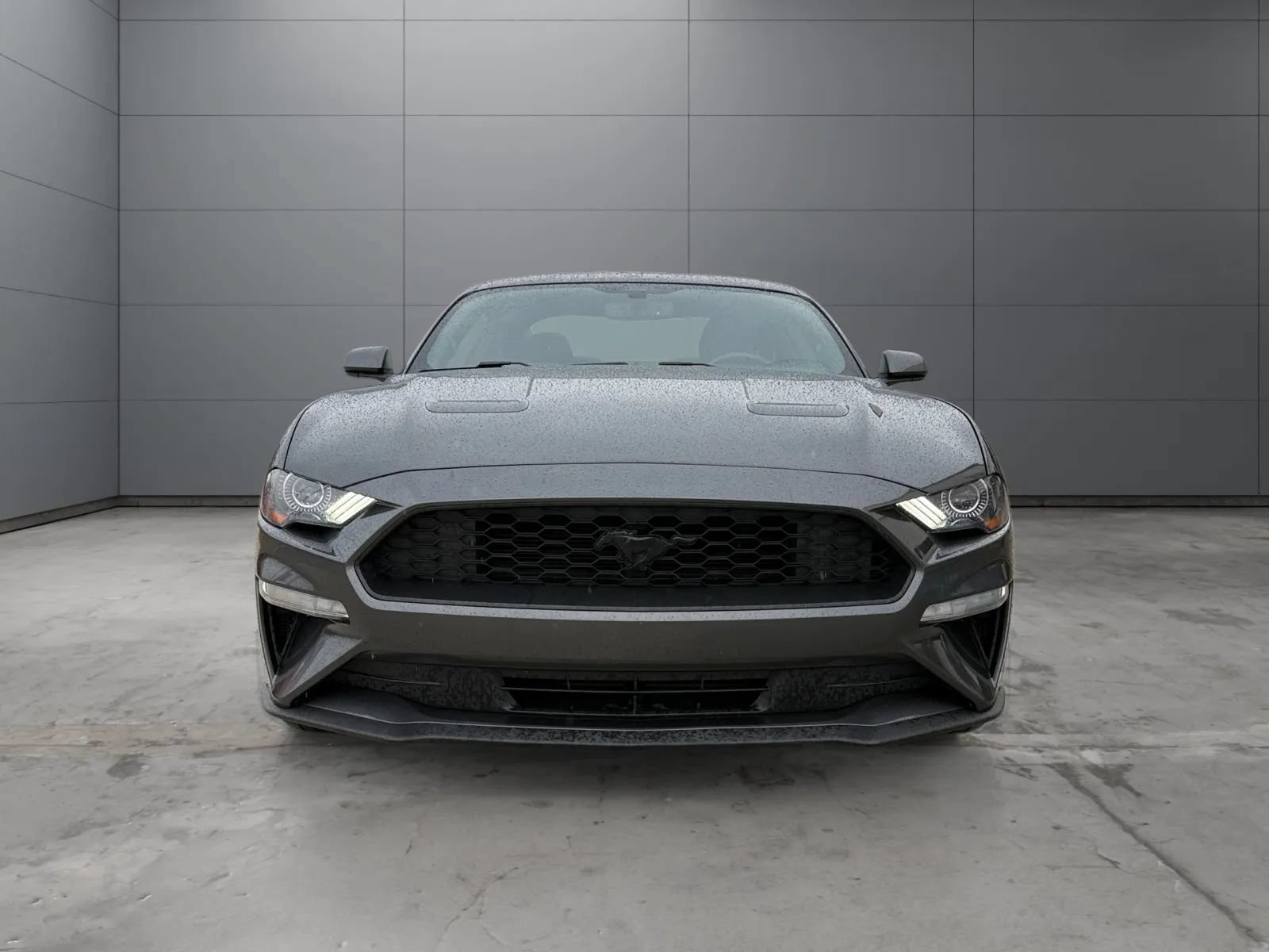 Used 2020 Ford Mustang Coupe w/ Equipment Group 101A RWD image 2