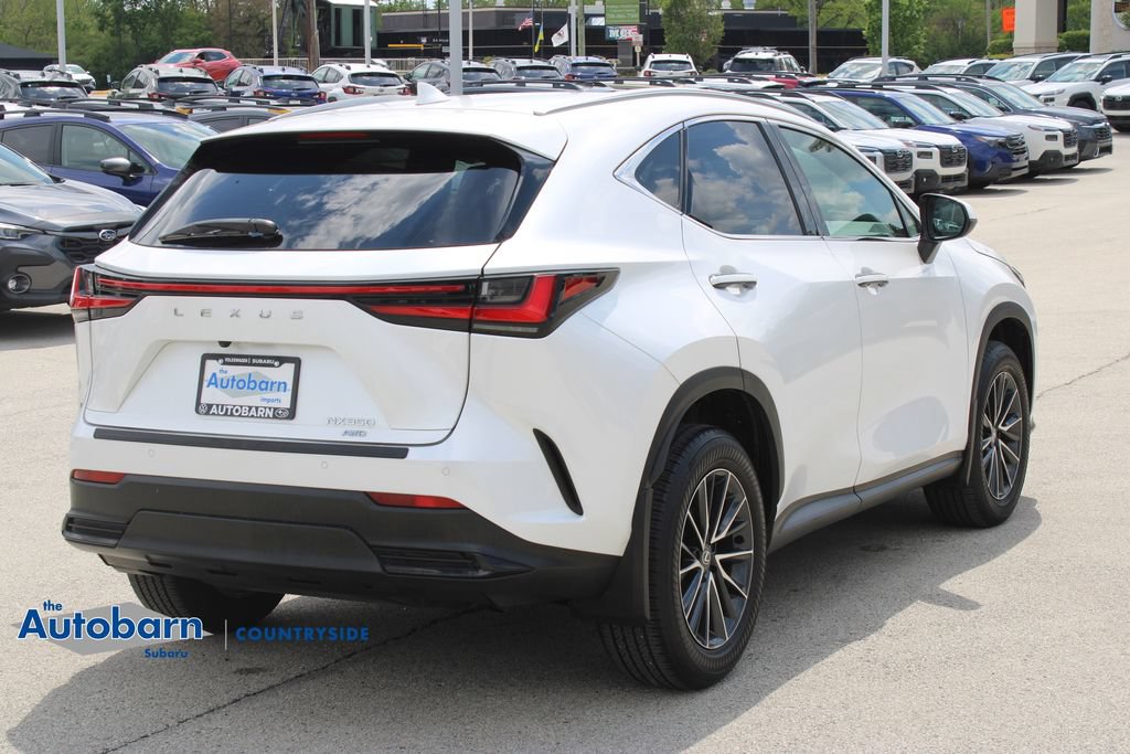 Used 2024 Lexus NX 350 AWD image 5