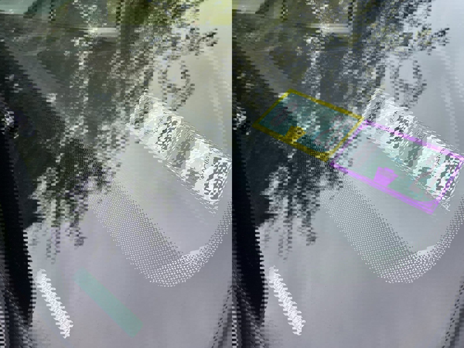 Used 2017 Chrysler Pacifica Touring-L w/ Tire & Wheel Group image 69