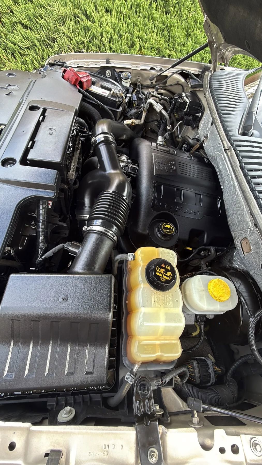 Used 2017 Ford Expedition EL King Ranch image 44