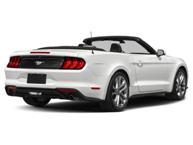 Used 2023 Ford Mustang Convertible w/ Equipment Group 101A image 2