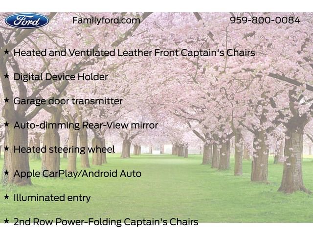 New 2026 Ford Expedition Tremor image 50