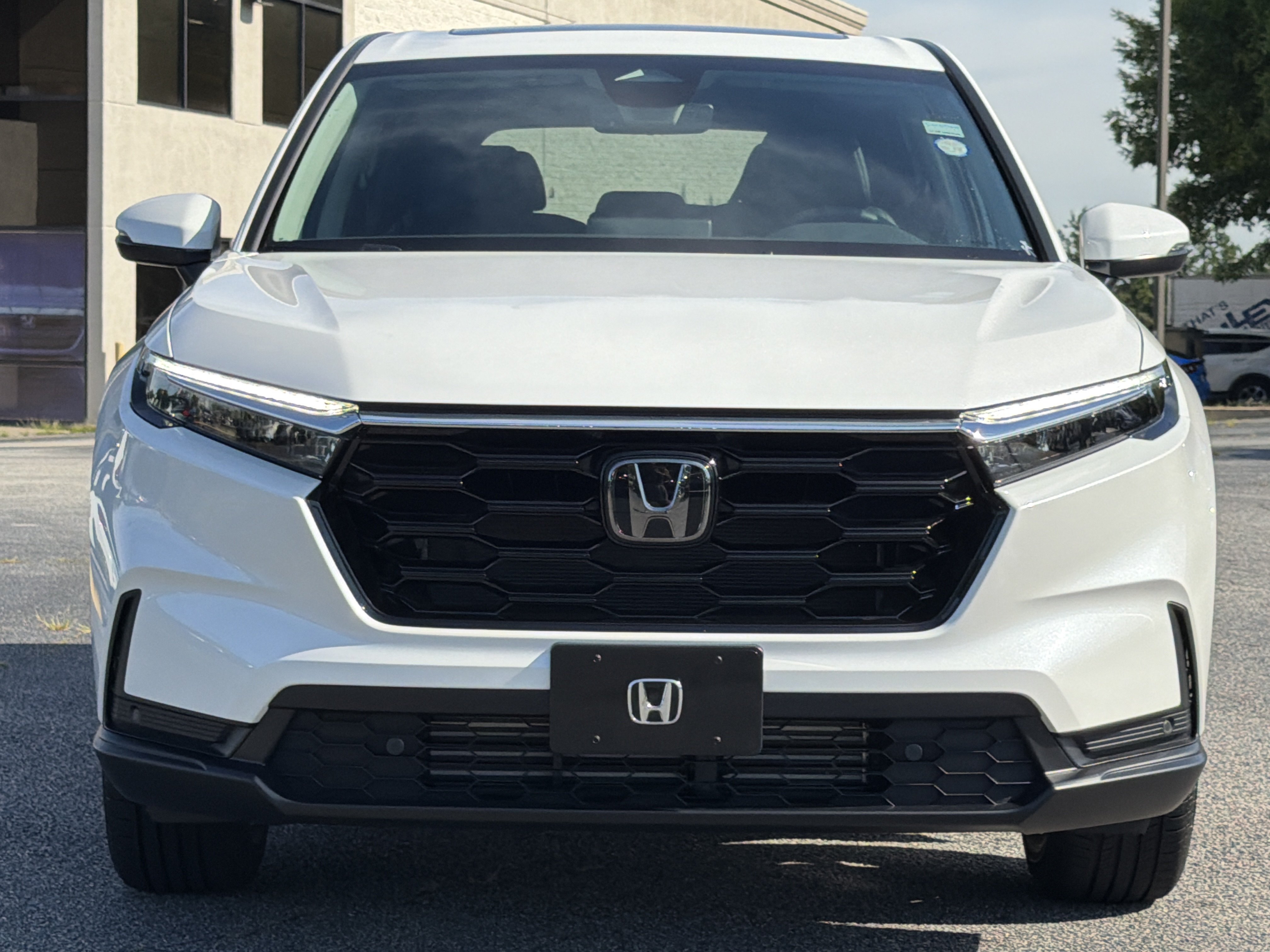 Used 2026 Honda CR-V EX-L image 9