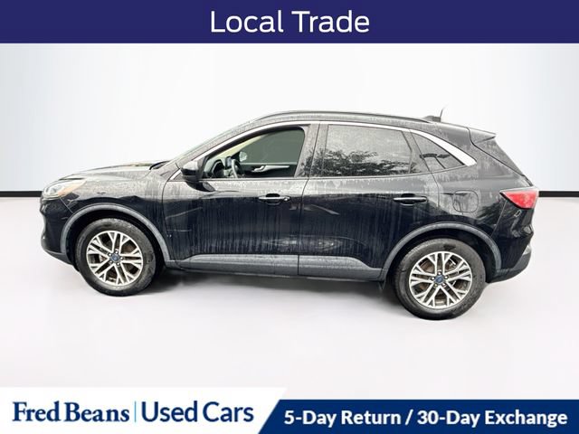 Used 2020 Ford Escape SEL AWD/4WD image 5