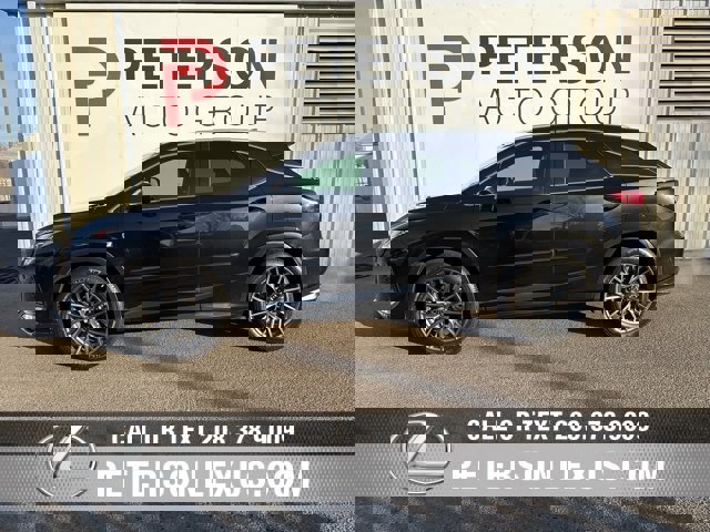 Used 2020 Lexus RX 350 F Sport w/ Cold Weather Package (CT) image 6