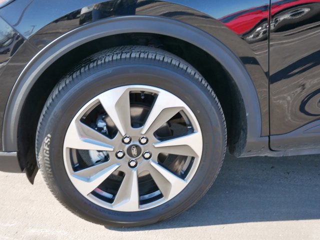 Certified 2024 Ford Escape Platinum image 5