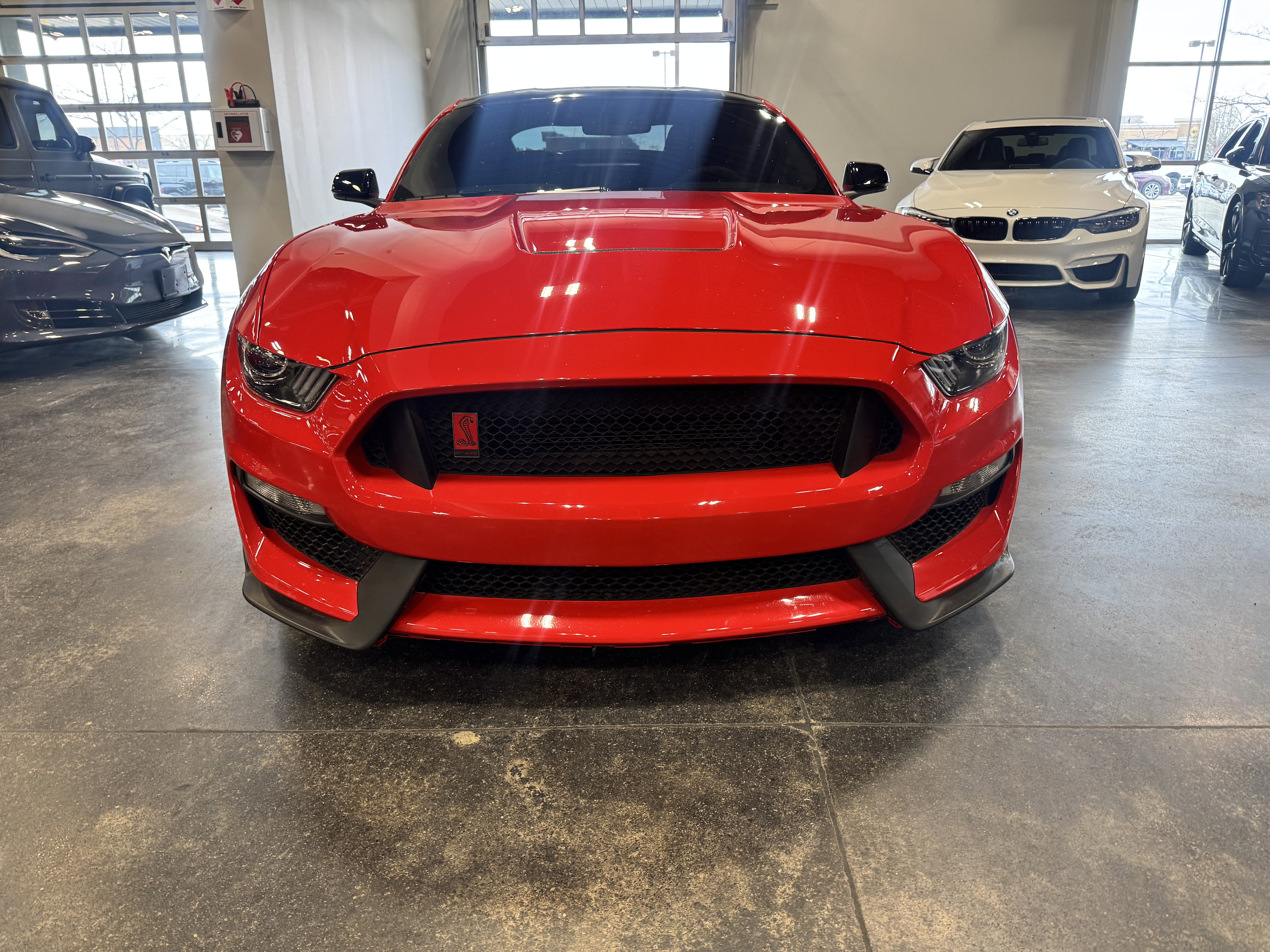 Used 2019 Ford Mustang Shelby GT350R w/ GT350R Equipment Group 920A image 6