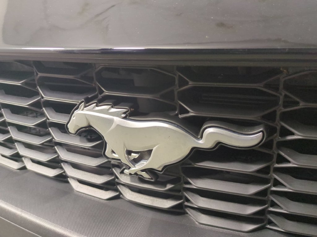 Used 2024 Ford Mustang Premium RWD image 13