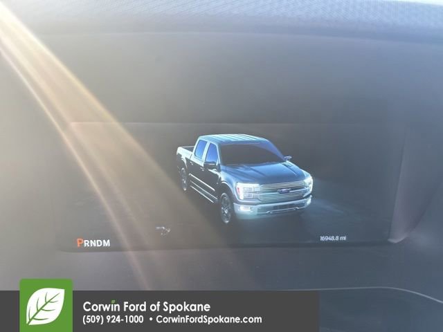 Used 2024 Ford F150 Tremor image 12