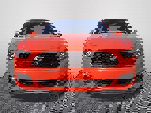 Used 2016 Ford Mustang Premium w/ Equipment Group 201A RWD image 5