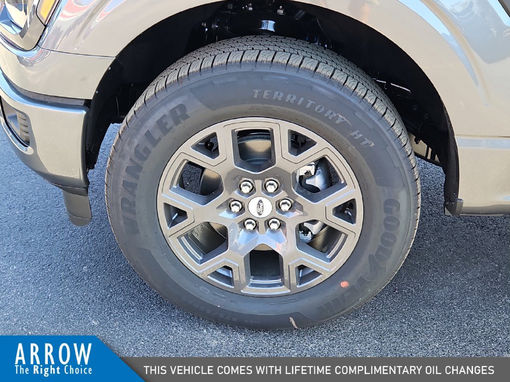 New 2026 Ford F150 STX w/ Equipment Group 200A RWD image 17