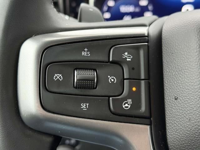 Used 2025 Chevrolet Silverado 1500 LT Trail Boss w/ Convenience Package II AWD/4WD image 23