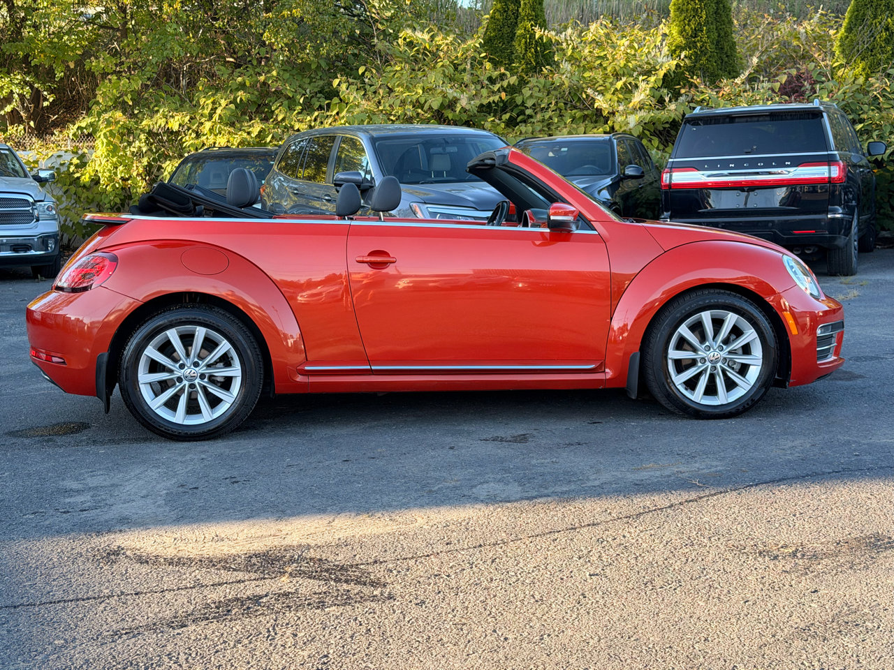 Used 2019 Volkswagen Beetle 2.0T SE image 6