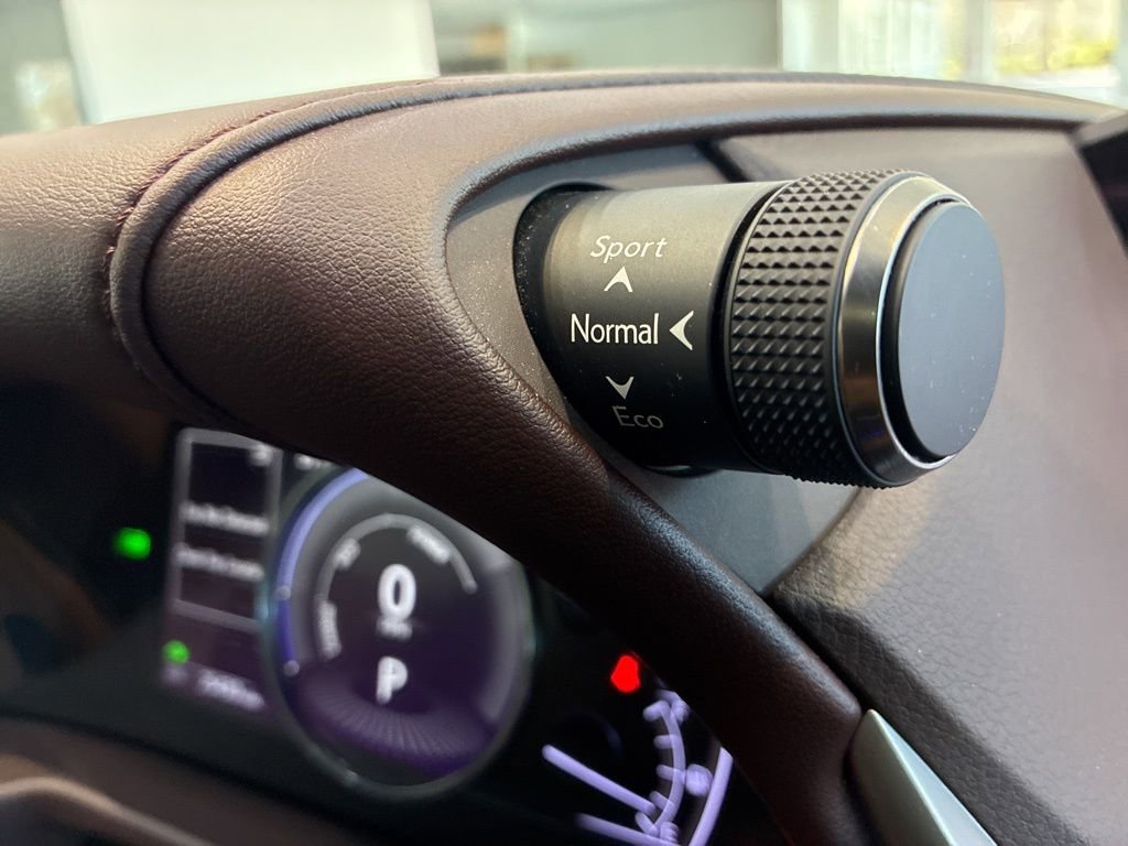 Certified 2019 Lexus ES 300h Ultra Luxury image 24