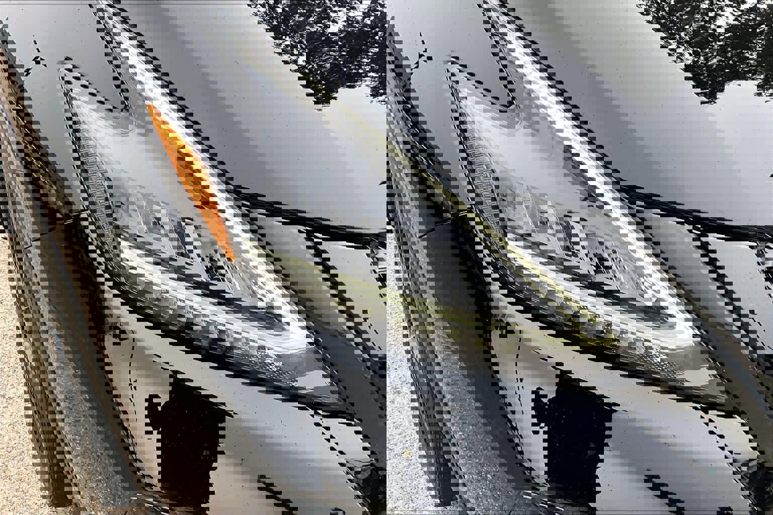 Certified 2024 Nissan Murano SV w/ SV Midnight Edition Package image 27