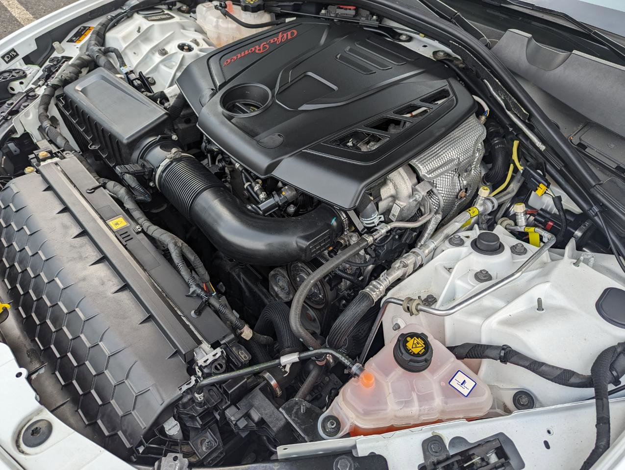 Used 2022 Alfa Romeo Giulia Veloce image 42