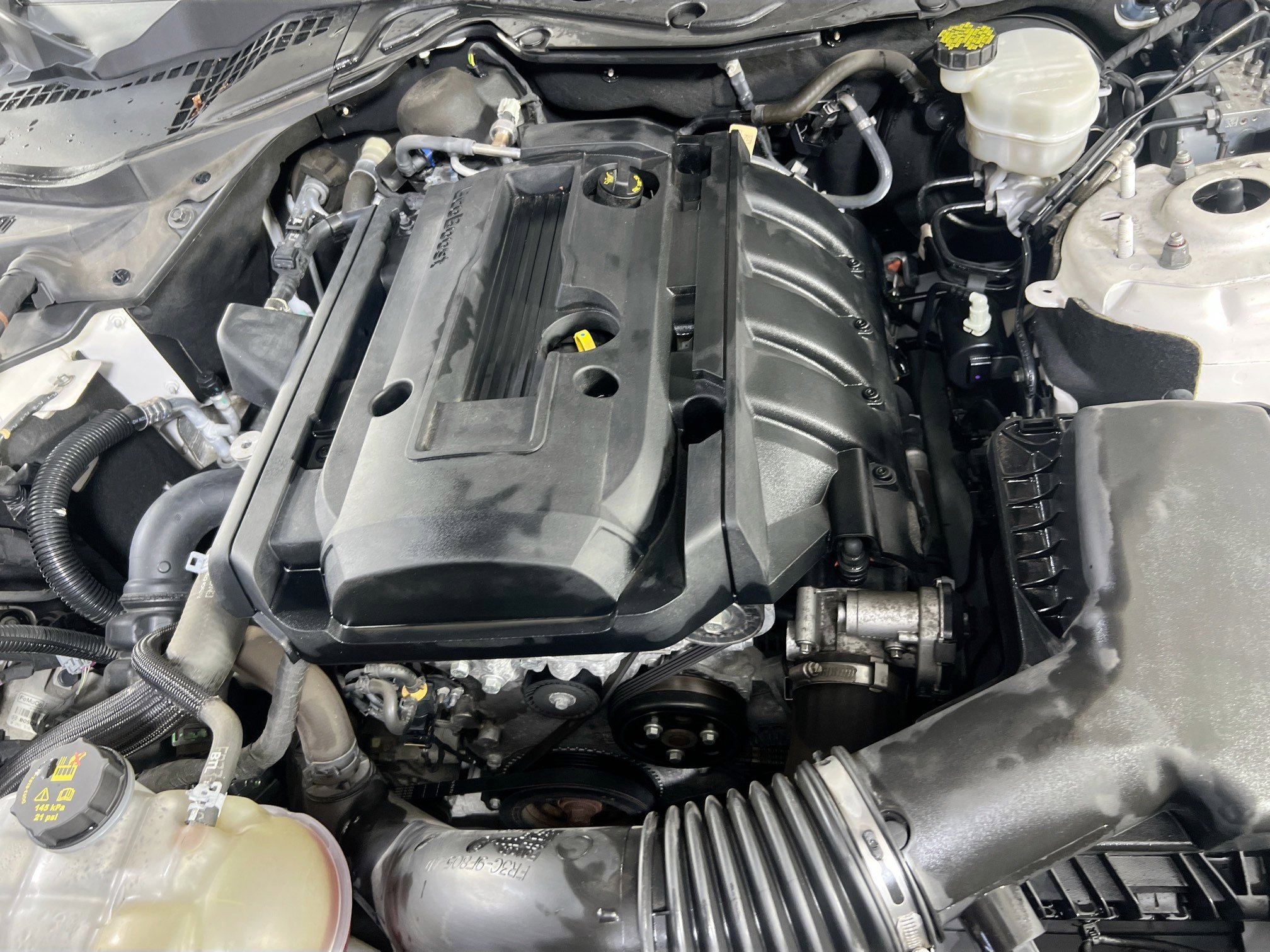 Used 2017 Ford Mustang Premium image 29