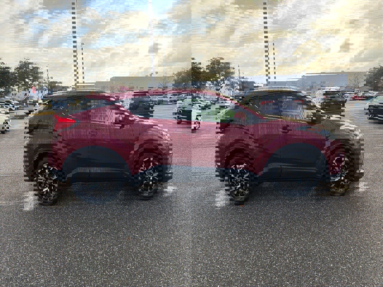 Used 2019 Toyota C-HR Limited image 6