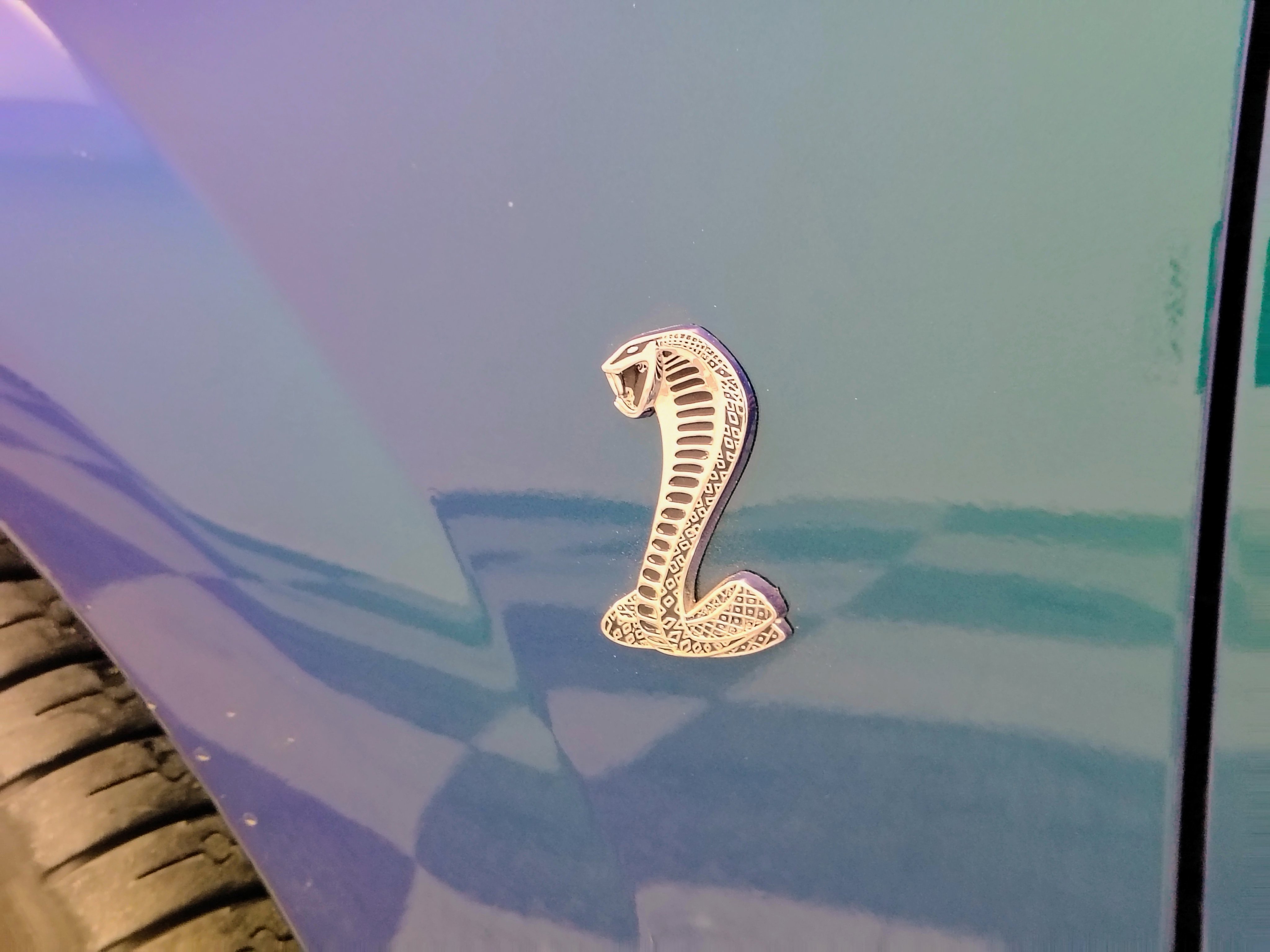 Used 2004 Ford Mustang Cobra RWD image 25