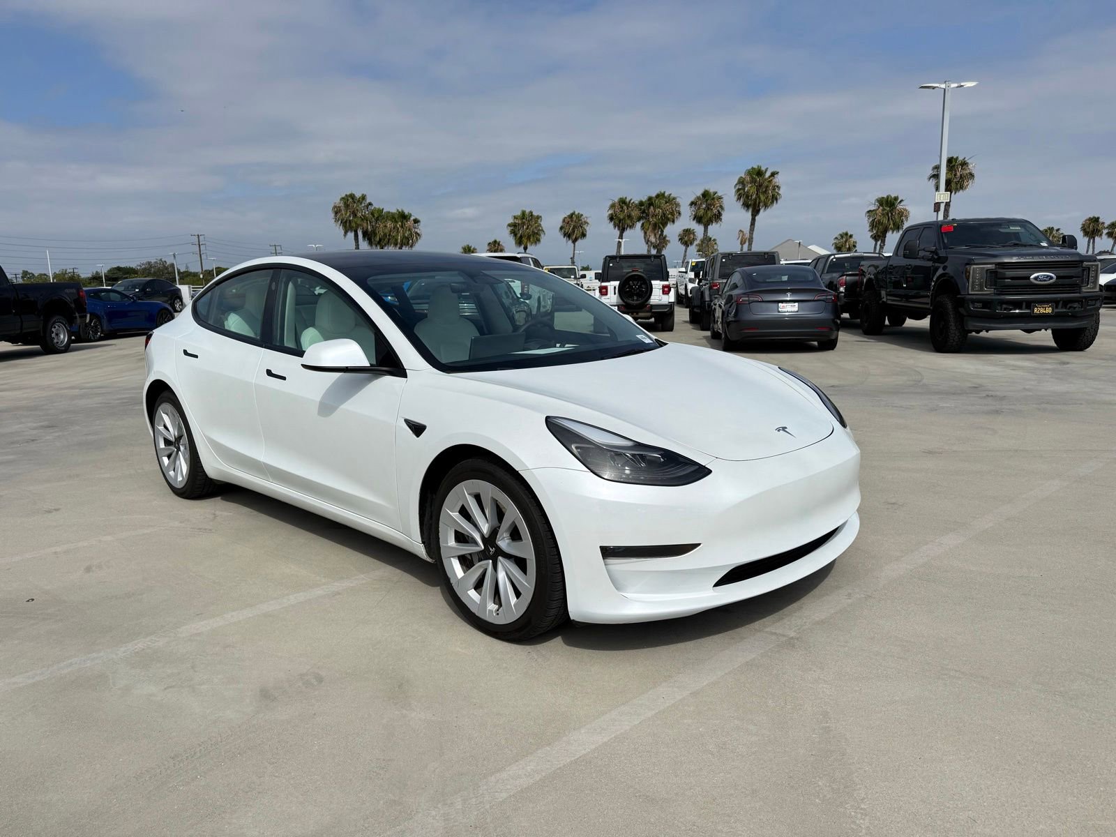 Used 2023 Tesla Model 3 Standard Range RWD image 4