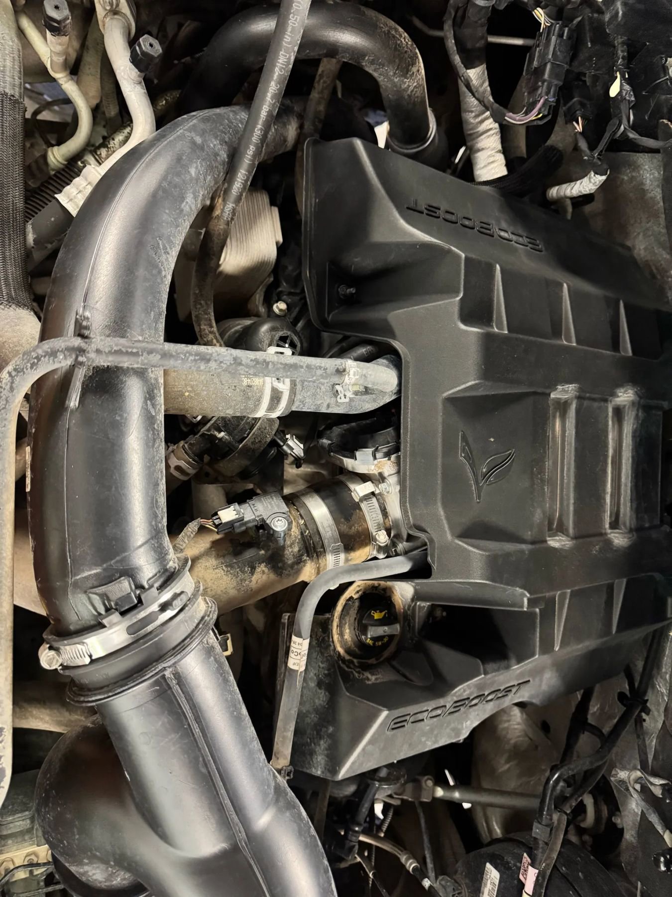 Used 2016 Ford F150 XLT w/ Equipment Group 301A Mid image 6