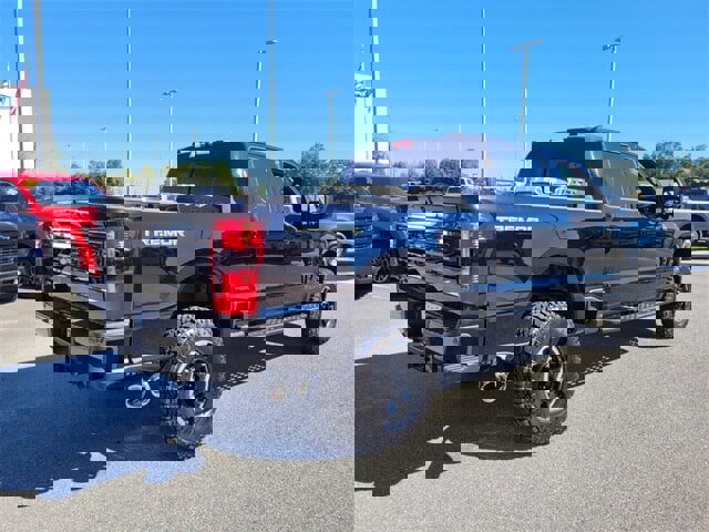 New 2026 Ford F250 Platinum image 10