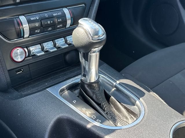 Used 2023 Ford Mustang GT w/ Equipment Group 301A image 14