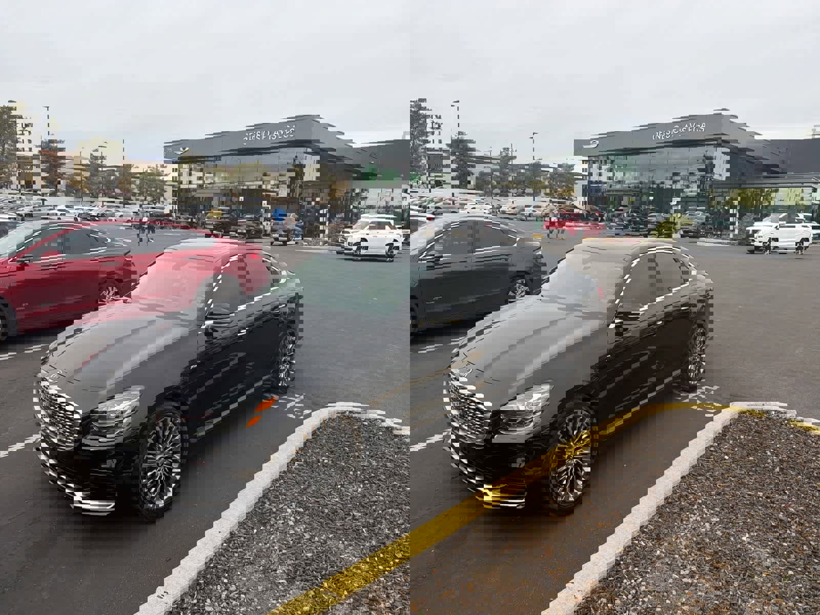 Used 2019 Kia K900 Luxury w/ VIP Package image 8