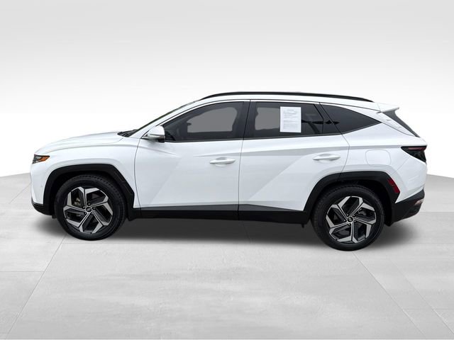 Used 2023 Hyundai Tucson Limited w/ Cargo Package FWD image 4
