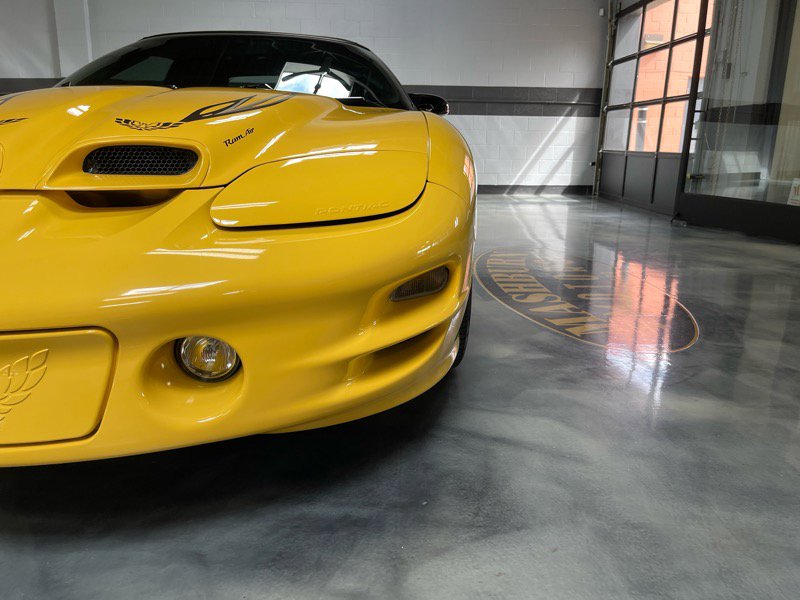 Used 2002 Pontiac Firebird Trans Am image 4