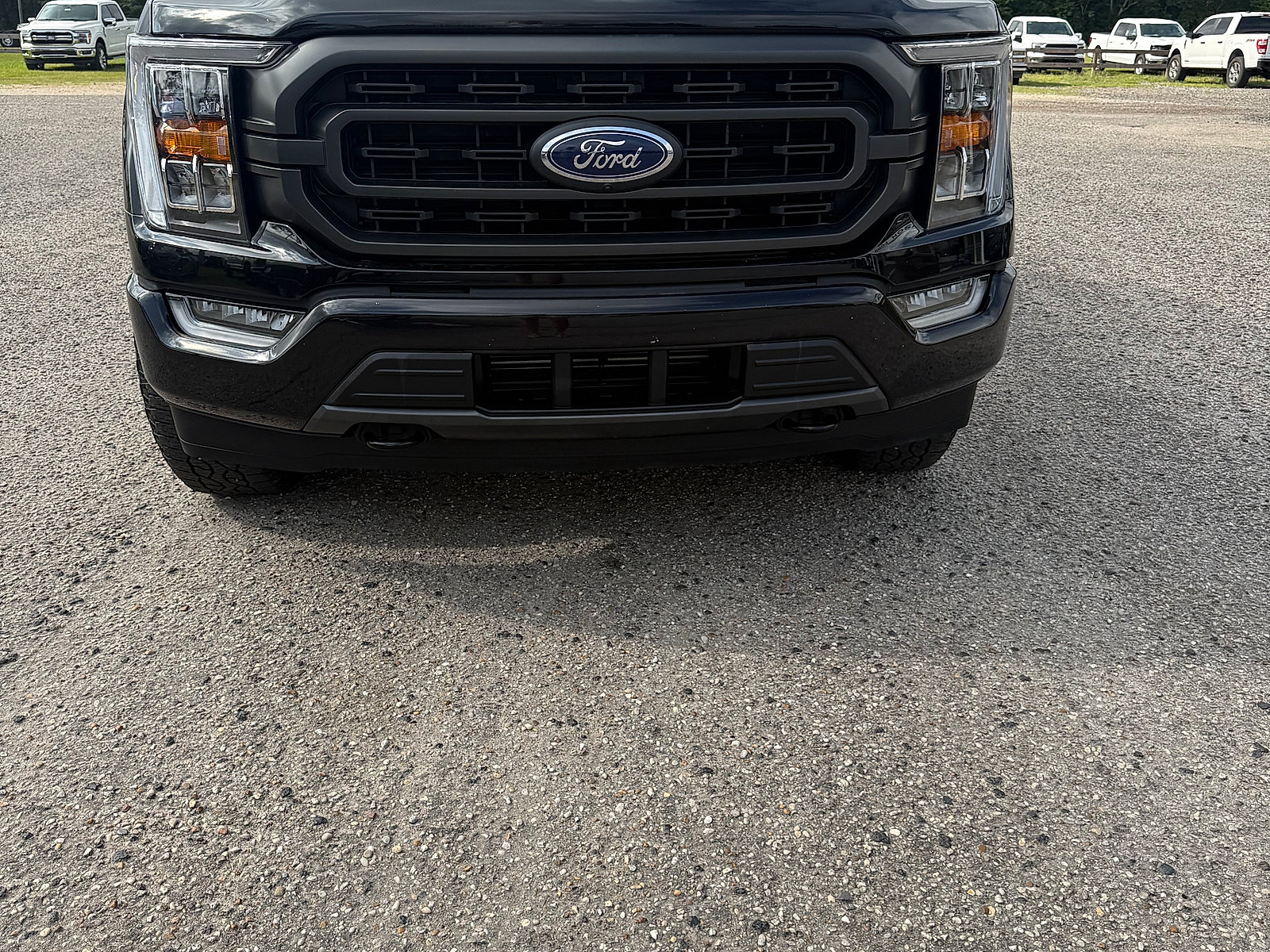 Used 2023 Ford F150 XLT w/ Equipment Group 302A High AWD/4WD image 2