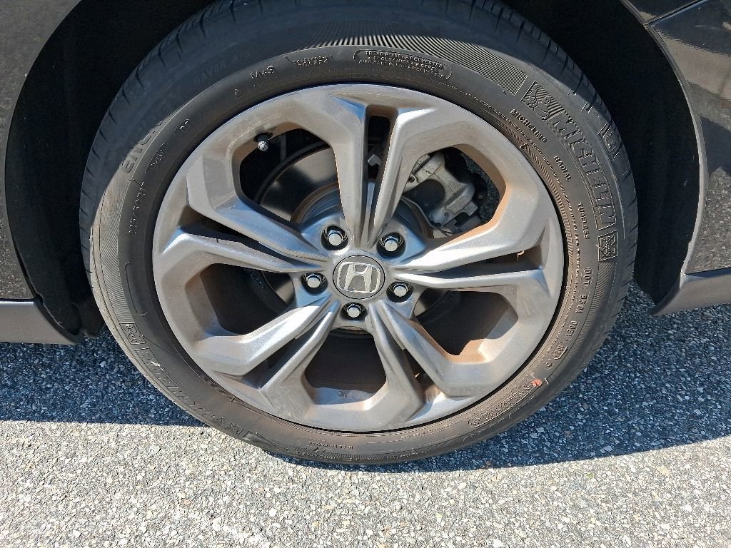 Certified 2024 Honda Accord EX image 10