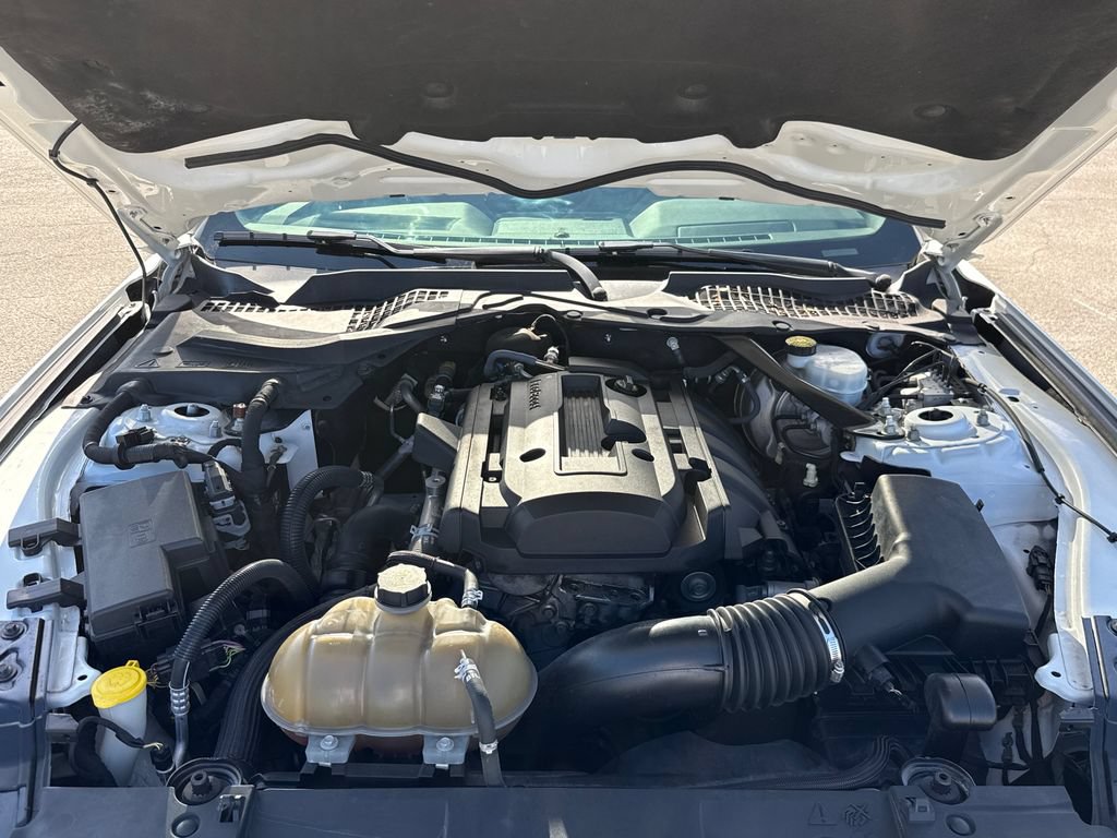 Certified 2019 Ford Mustang Premium w/ Equipment Group 201A RWD image 29