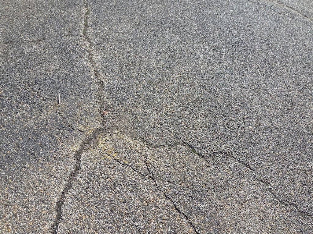 Used 2025 Ford Mustang Premium image 10