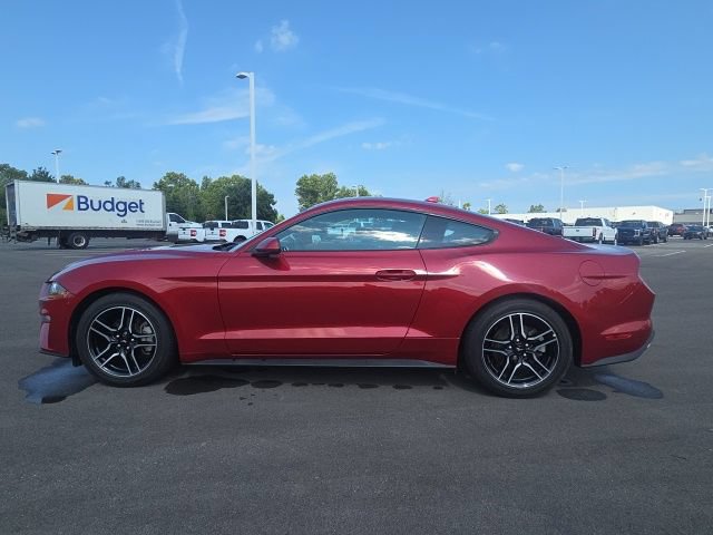 Used 2023 Ford Mustang Coupe w/ Equipment Group 101A RWD image 12