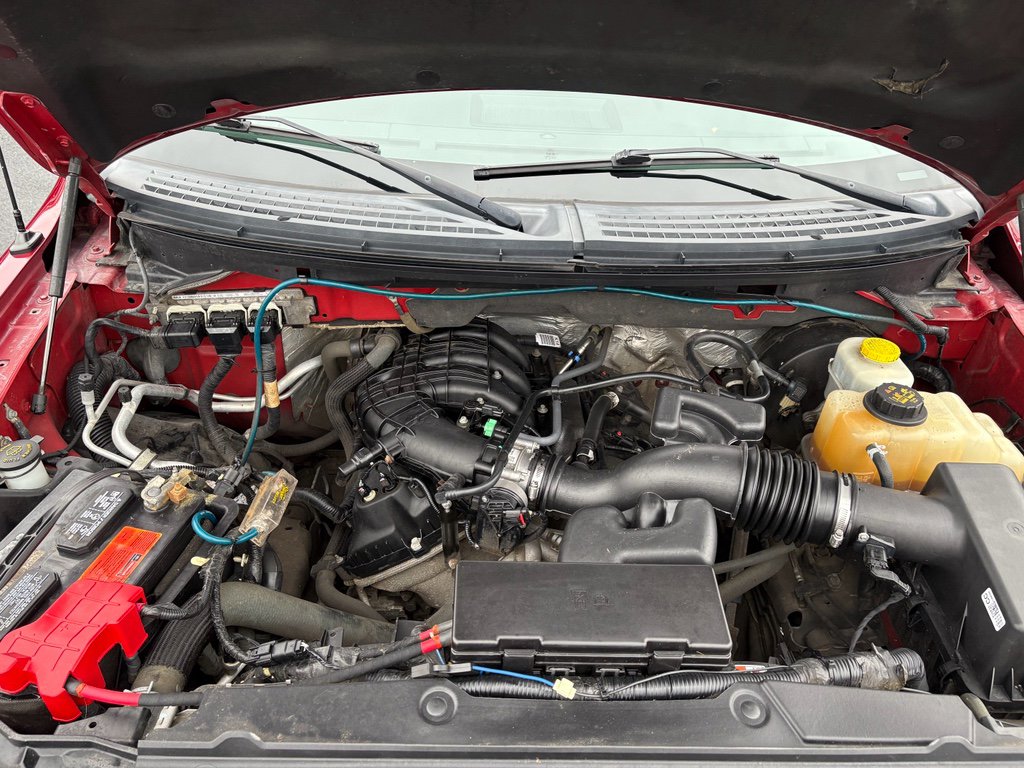 Used 2014 Ford F150 XLT w/ Equipment Group 301A Mid image 12