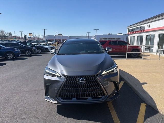Used 2024 Lexus NX 350h AWD w/ Vision Package image 7