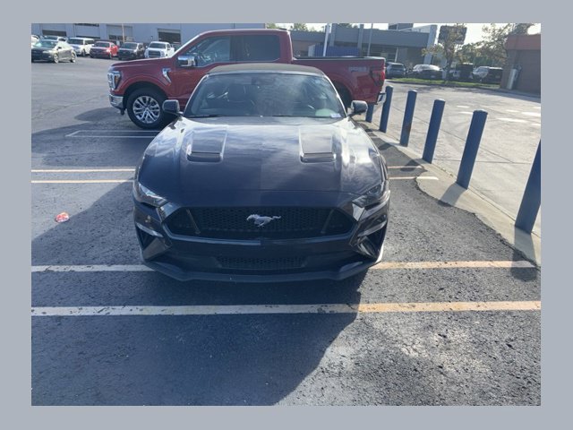 Used 2022 Ford Mustang GT Premium w/ Equipment Group 401A RWD image 1