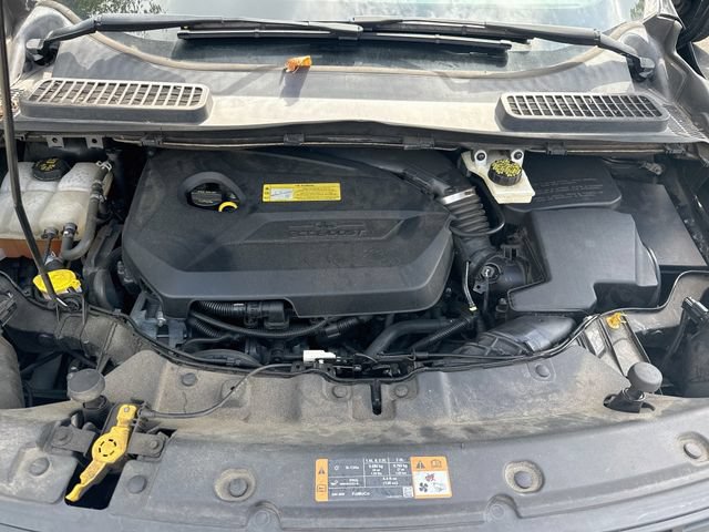 Used 2014 Ford Escape SE FWD image 24