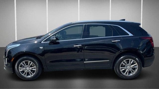 Used 2022 Cadillac XT5 Premium Luxury FWD image 15