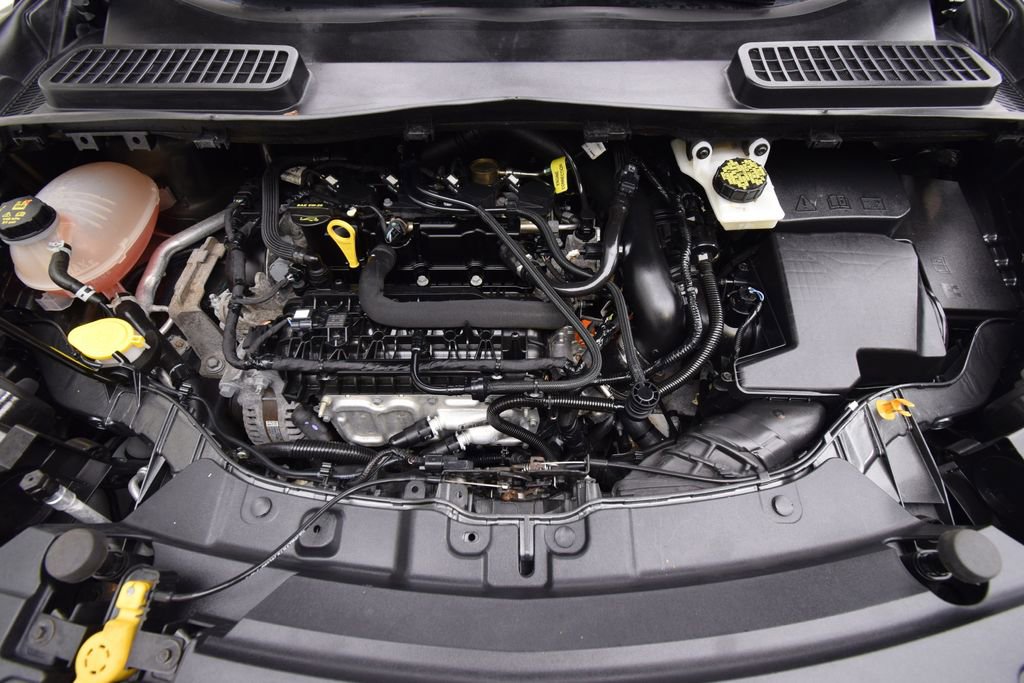 Used 2019 Ford Escape SE image 28