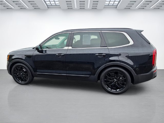 Used 2022 Kia Telluride SX w/ SX Prestige Package AWD/4WD image 7