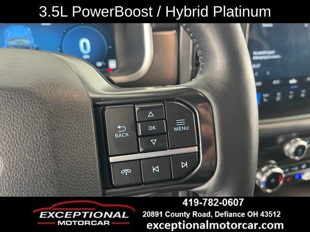 Used 2025 Ford F150 Platinum AWD/4WD image 38