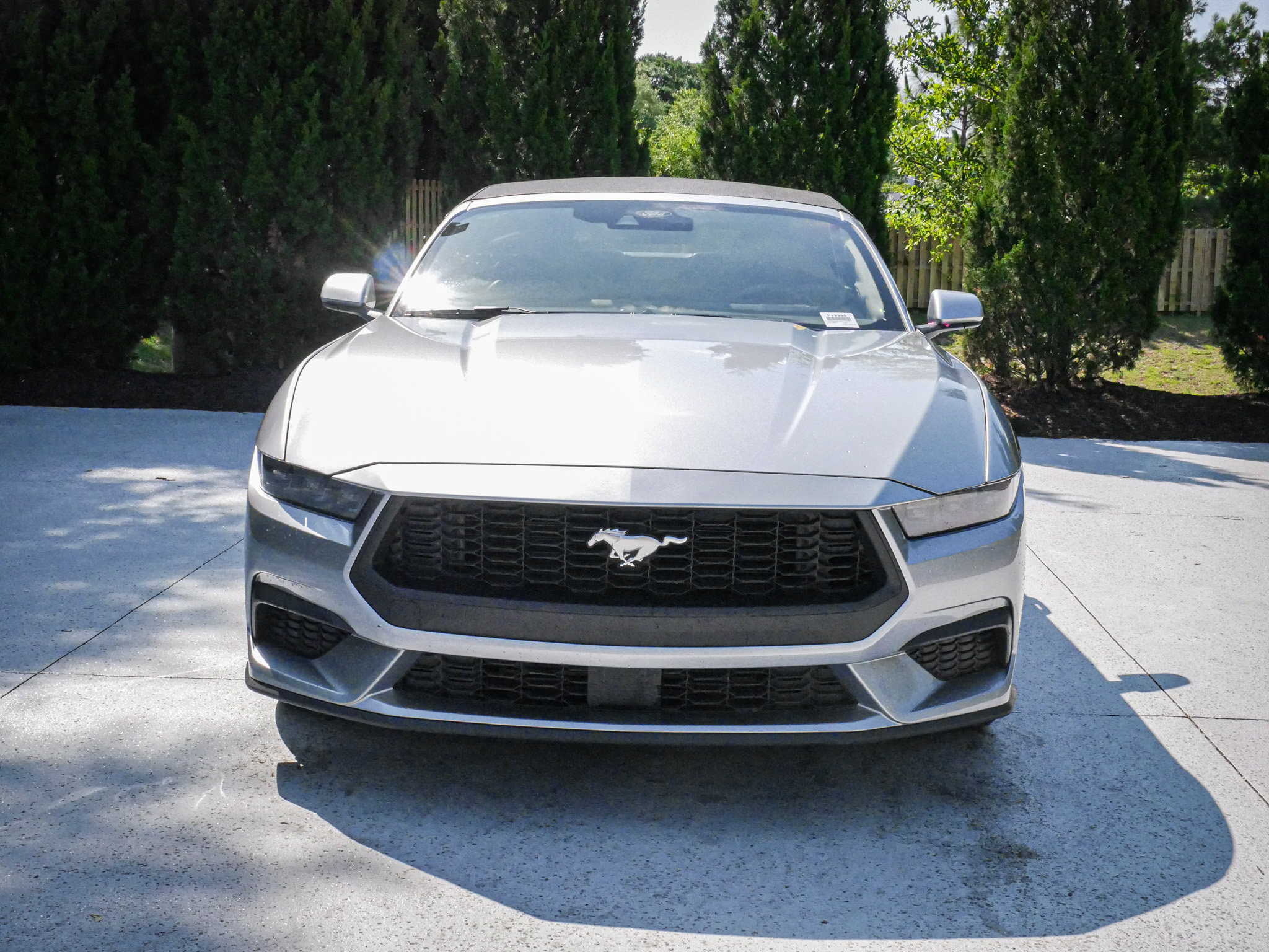 Used 2025 Ford Mustang Premium RWD image 3