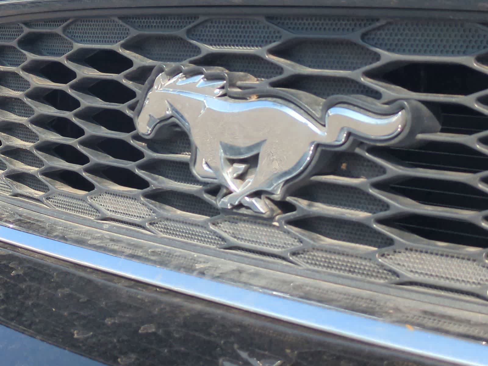 Used 2014 Ford Mustang Convertible RWD image 13