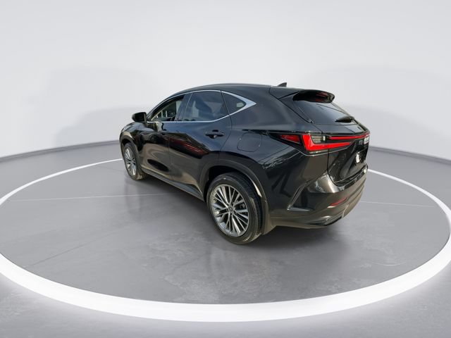 Certified 2023 Lexus NX 350h AWD image 6