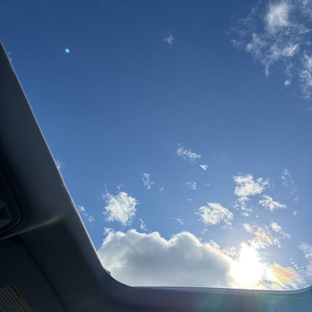 Used 2019 Cadillac Escalade Luxury image 13