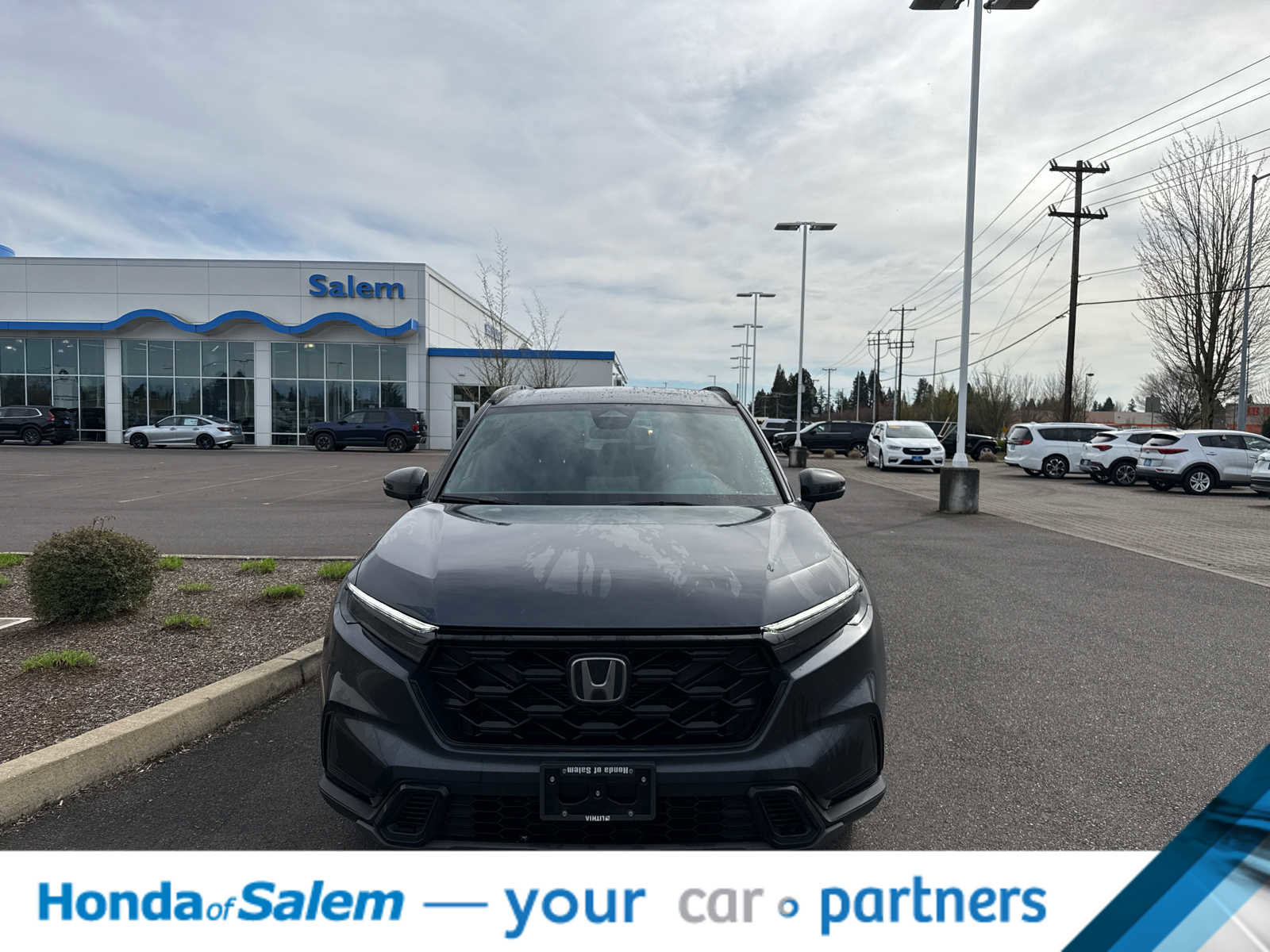 Used 2025 Honda CR-V Sport image 6