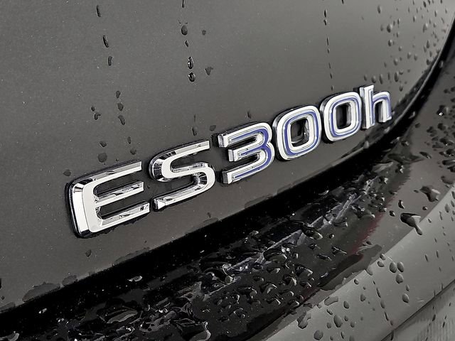 Used 2022 Lexus ES 300h 300h w/ Premium Package image 34